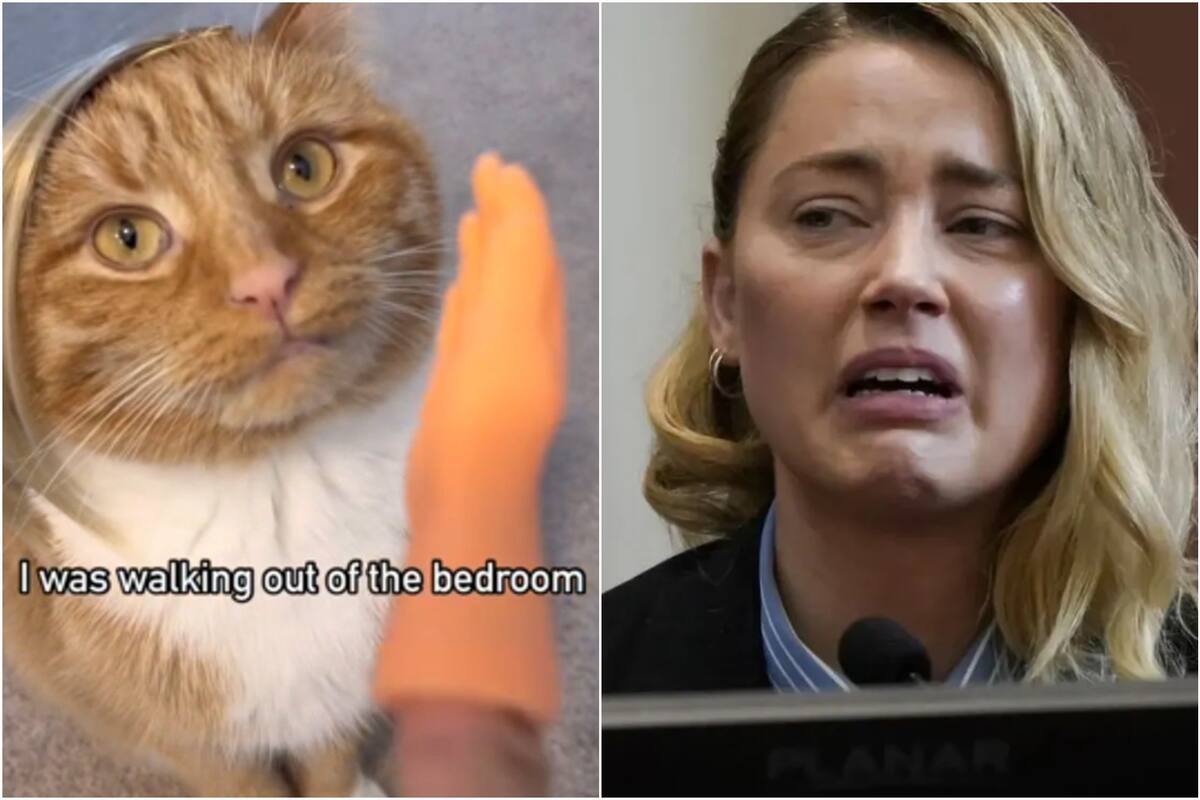 Las burlas a Amber Heard en TikTok tendrán una sanción en la misma plataforma