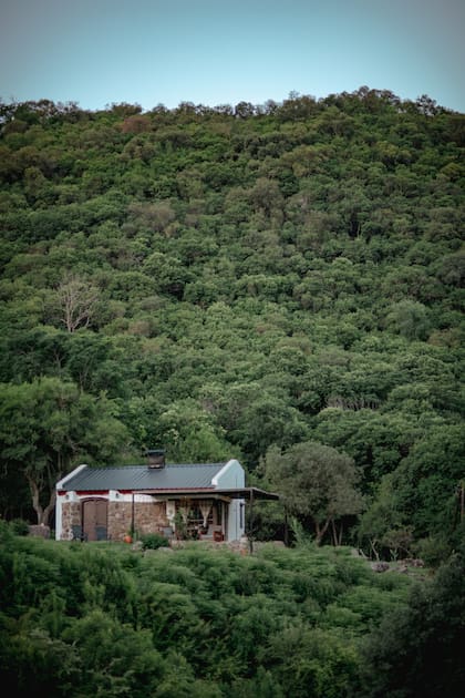 Las cabañas están integradas al monte nativo.