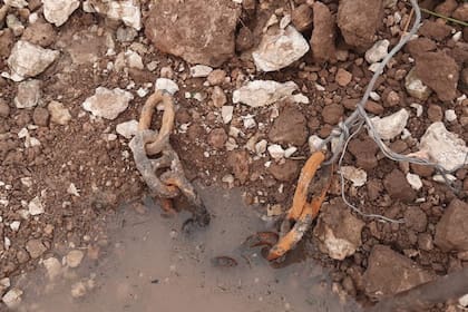 Las cadenas pudieron ser halladas gracias a la bajante histórica del río Paraná