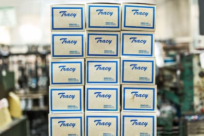 Las cajas del modelo Tracy de zapatillas básicas de colores.
