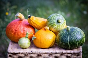 Las calabazas ofrecen un sinfín de beneficios para la salud