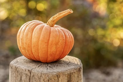 Las calabazas pueden contener hasta 8 miligramos de magnesio (imagen ilustrativa)