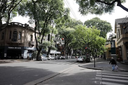 Las calles arboladas y los servicios ofrecen el tan deseado mix urbano