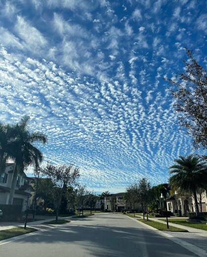 Las calles de Parkland se caracterizan por ser tranquilas