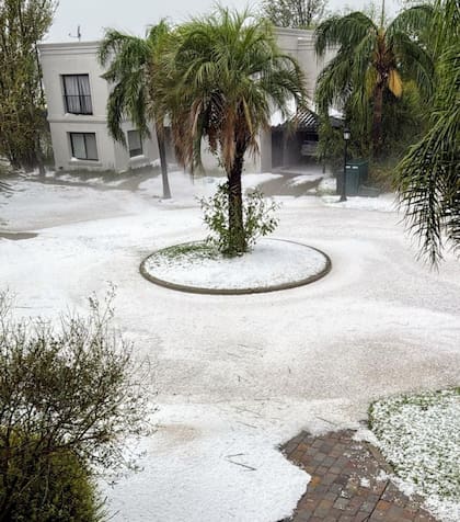 Las calles quedaron teñidas de blanco