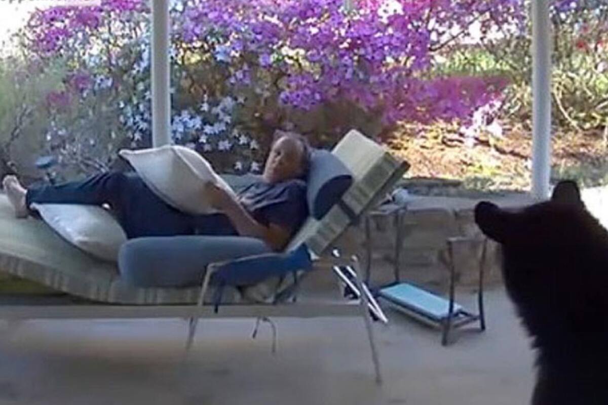 Las cámaras de la morada registraron el momento del encuentro (Foto: Captura de pantalla de la CNN)