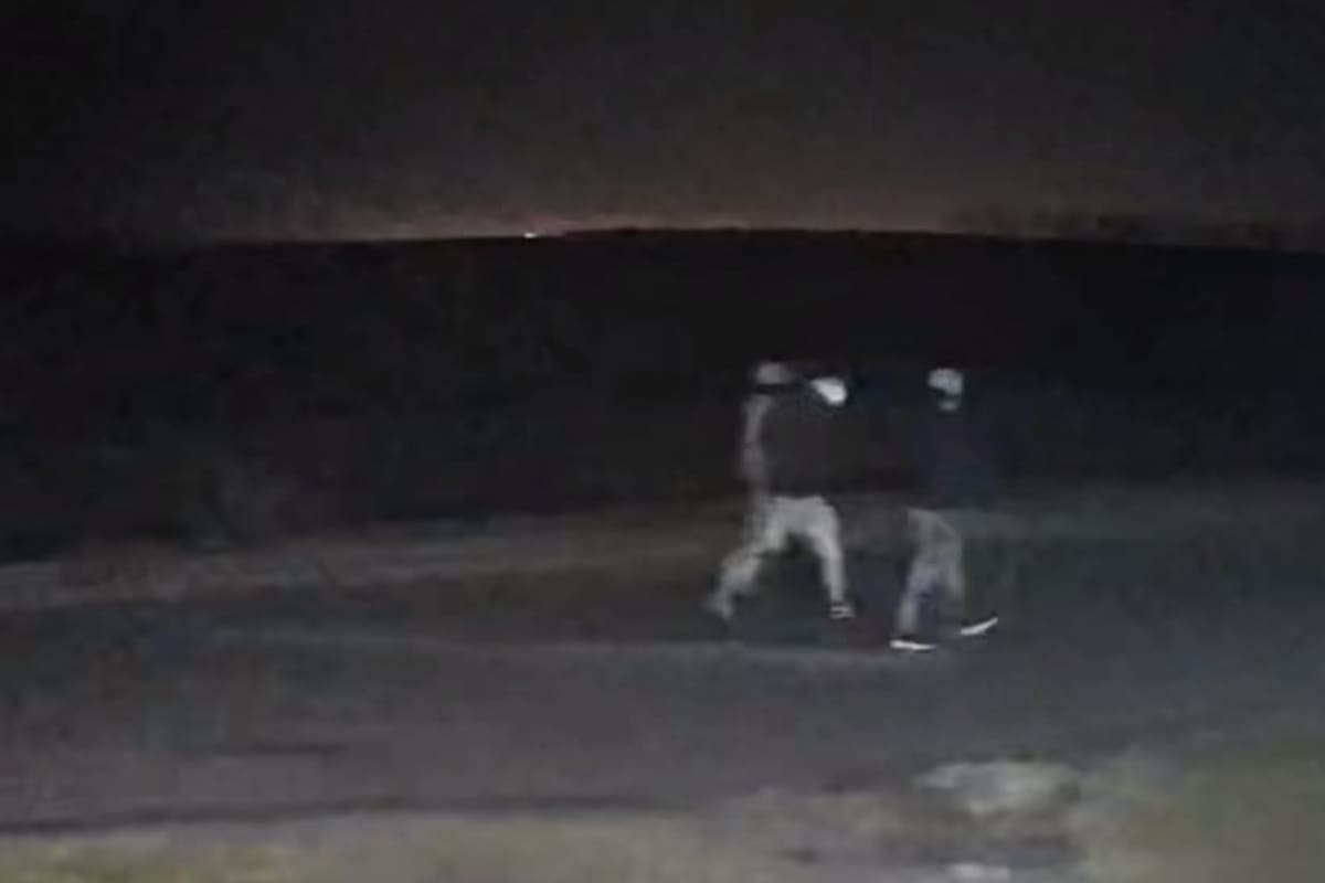 Las cámaras de seguridad captaron a tres personas dentro de uno de los campos afectados por los robos rurales denunciados en Baradero, según los productores
