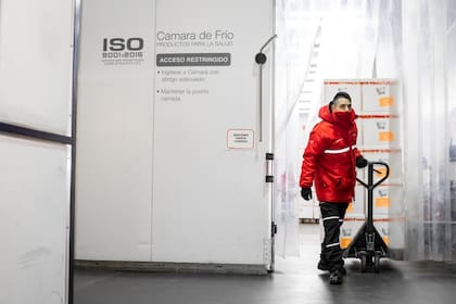 Las cámaras frigoríficas albergan las vacunas a temperaturas de 2 a 8 grados centígrados