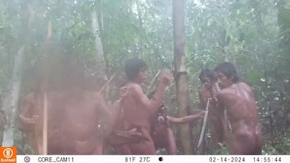 Las cámaras trampa se instalaron en 2024 para observar cómo vive la comunidad Massaco en la frontera de Brasil y Bolivia