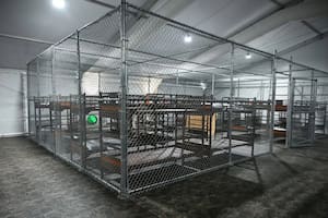 Las camas de los detenidos en el centro penitenciario Alligator Alcatraz están divididas por jaula