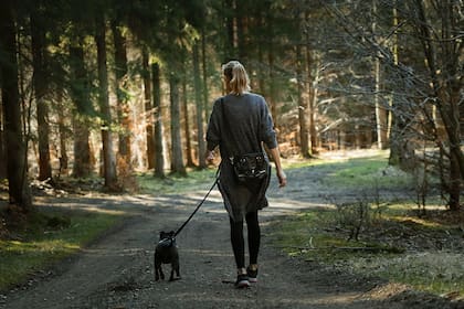 Las caminatas de intensidad leve pueden favorecer la salud cardiaca, proteger la presión arterial y tener unos niveles adecuados de glucosa