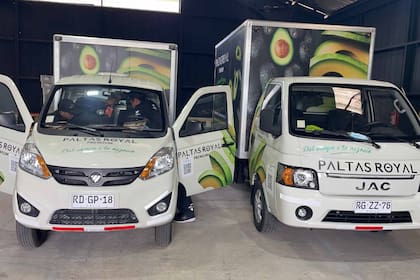 Las camionetas de su empresa con las que se realiza gran parte de los envíos. "Hoy soy líder en venta de fruta y verdura en minimarkets, verdulerías y restaurantes, pronto voy a empezar a exportar y estoy analizando armar una sucursal de Paltas Royal en Miami y en Nueva York", cuenta entusiasmado.
