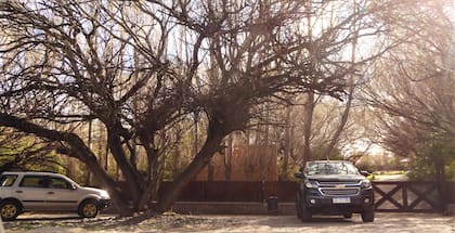 Las camionetas que custodian a Cristina Kirchner en el ingreso principal del chalet