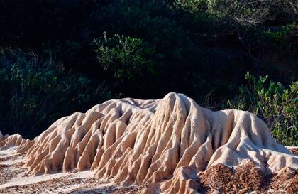 Las cárcavas milenarias del Valle de la Luna en Santa Isabel de La Pedrera.