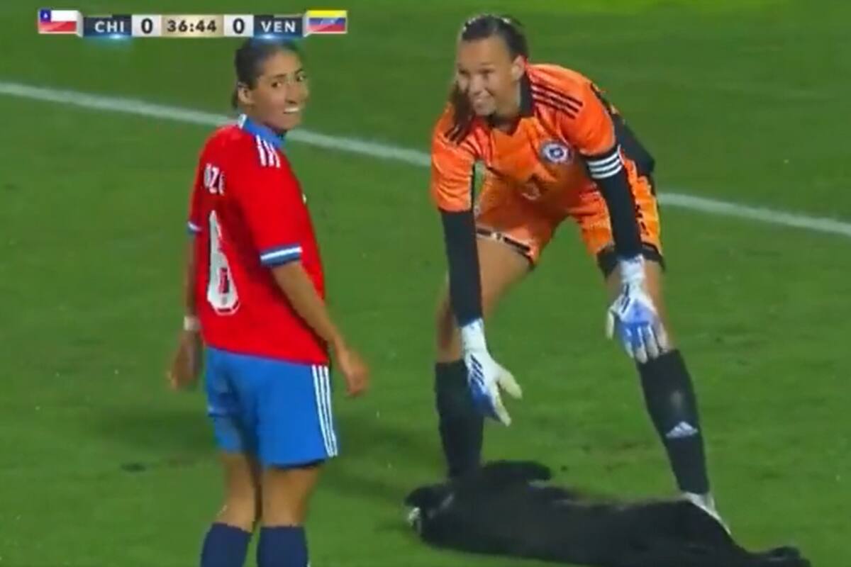 Las caricias al perrito que interrumpió el partido entre Chile y Venezuela