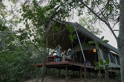 Las carpas tipo glamping El Bermejito, justo en el ingreso al parque, son el único alojamiento en el paraje La Armonía