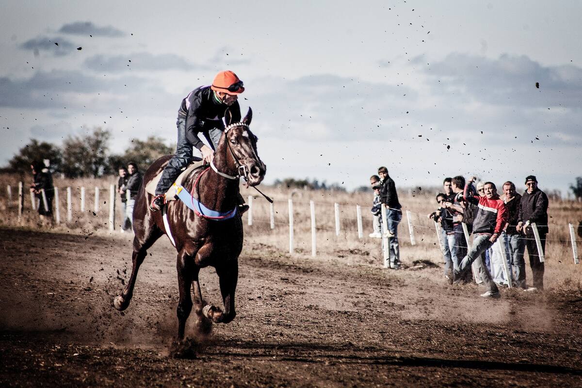 Las carreras cuadreras