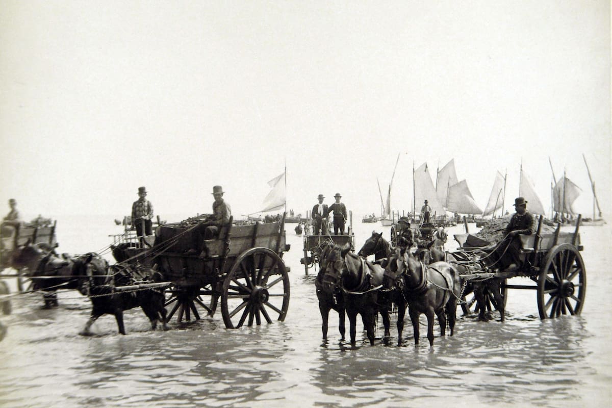 Las carretas eran utilizadas para trasladar a los pasajeros hasta el muelle, porque al no haber puerto y ser de gran calado, las embarcaciones no podían acceder tan cerca de la costa.