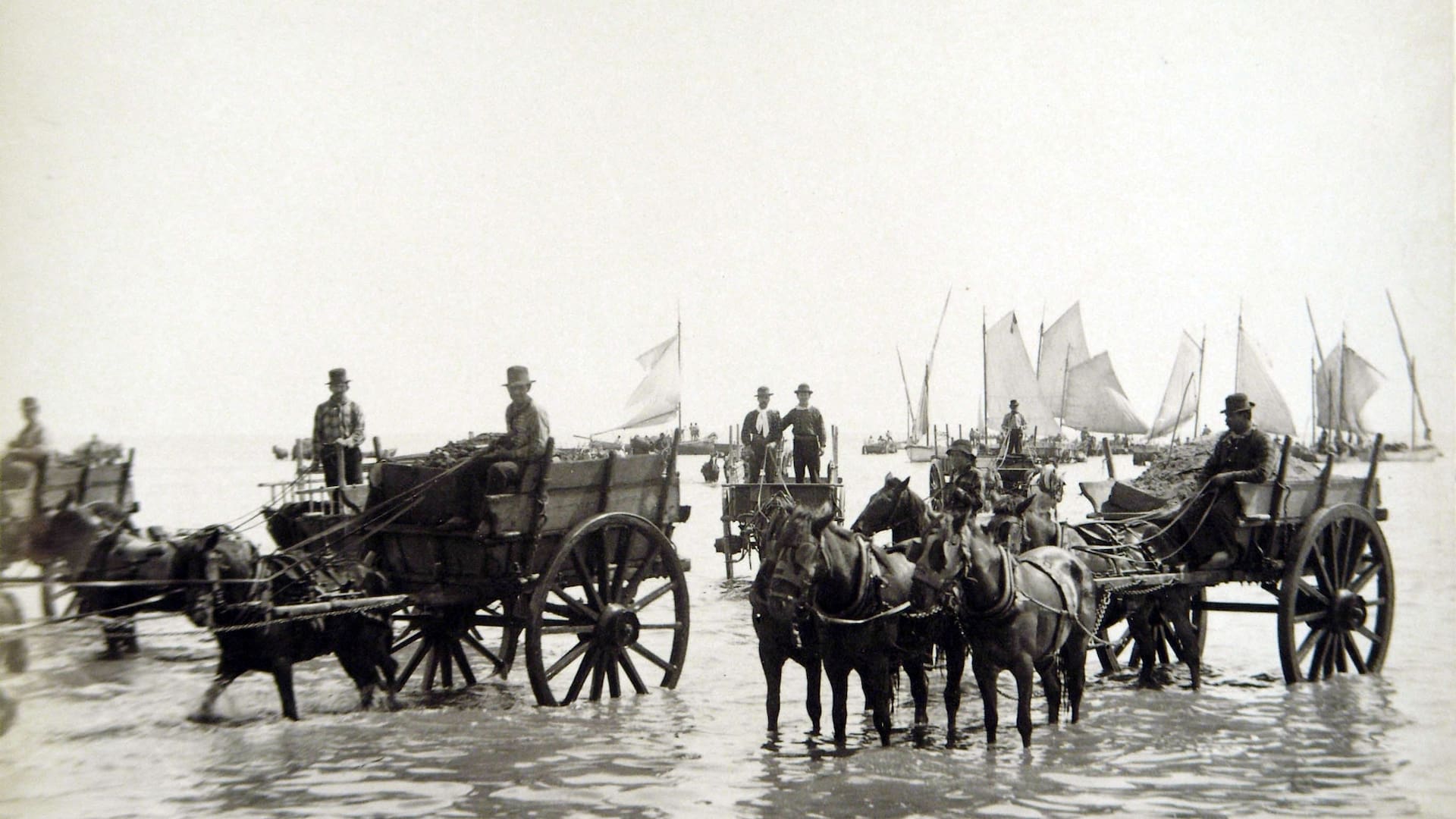 Las carretas eran utilizadas para trasladar a los pasajeros hasta el muelle, porque al no haber puerto y ser de gran calado, las embarcaciones no podían acceder tan cerca de la costa.