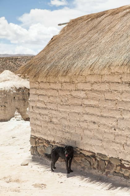 Las casas de la zona son de adobe y paja.