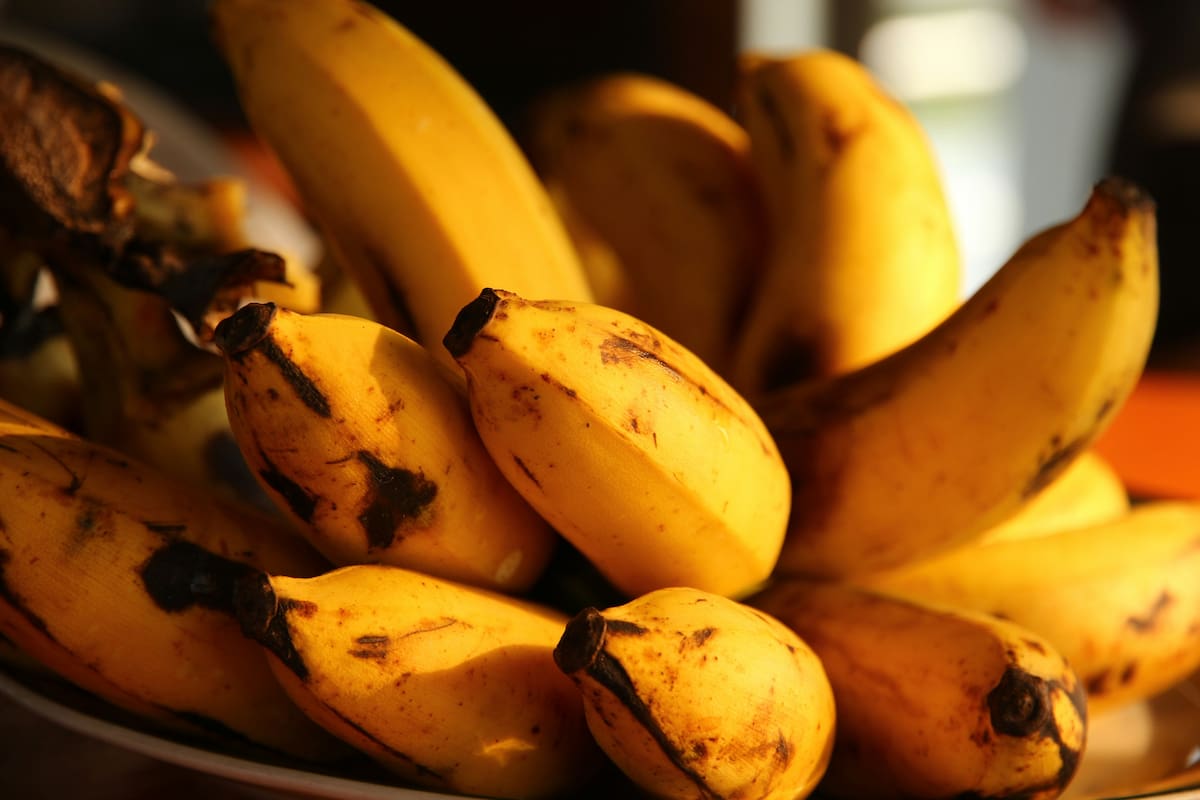 Las cáscaras de banana tienen actividad antibacteriana contra microorganismos relacionados con enfermedades periodontales