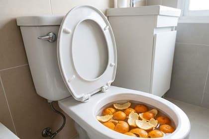 Las cáscaras de naranja pueden eliminar los microorganismos presentes en la taza del inodoro