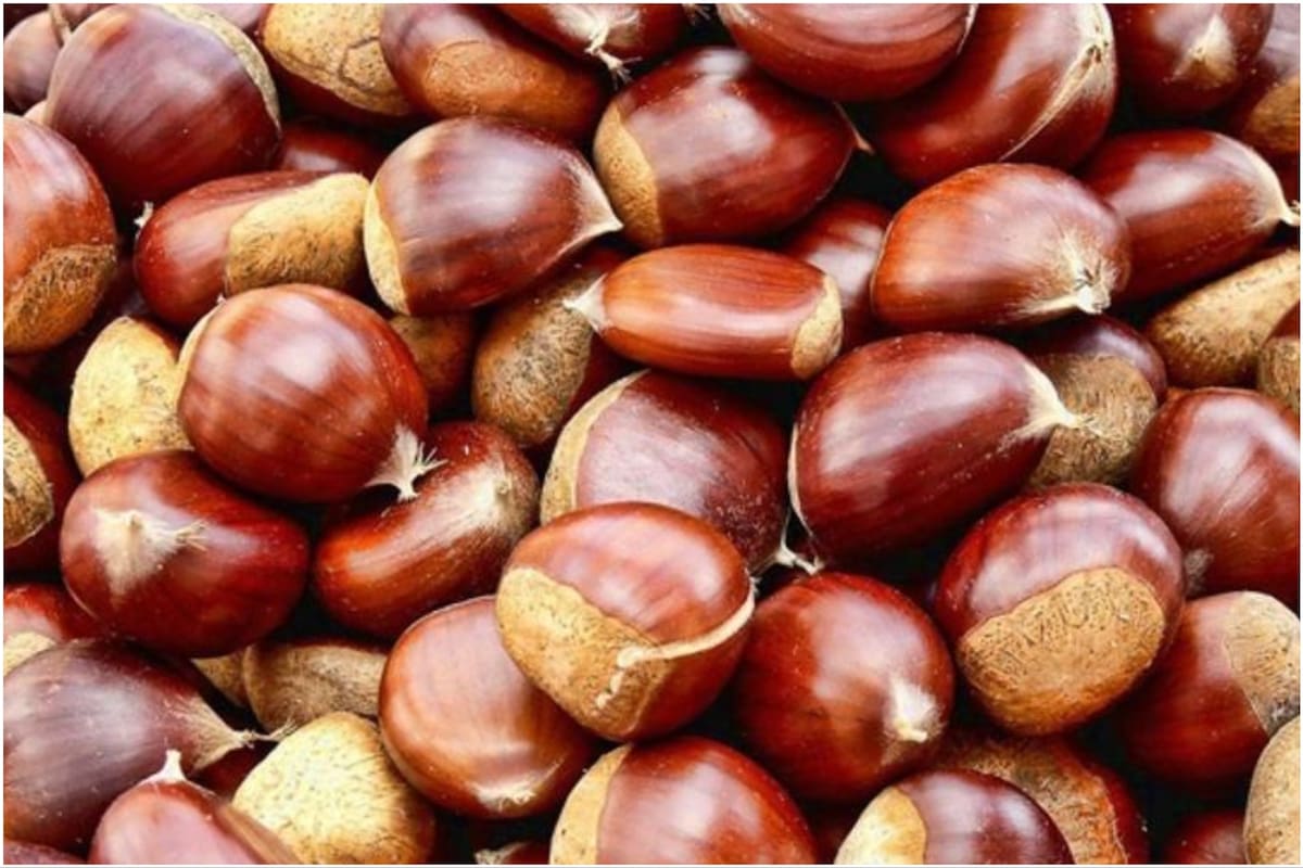 Las castañas son un superalimento recomendado por nutricionistas
