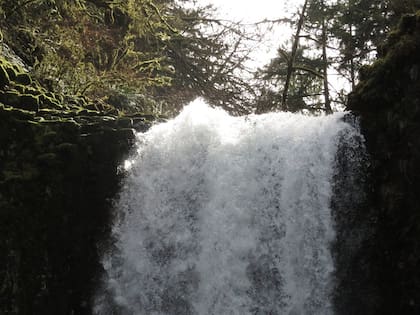 Las cataratas de Abiqua seguirán abiertas al público gracias a la nueva medida legislativa en Oregon
