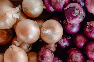 Cebolla blanca versus cebolla morada: cuál es la mejor variedad según la comida que necesites preparar