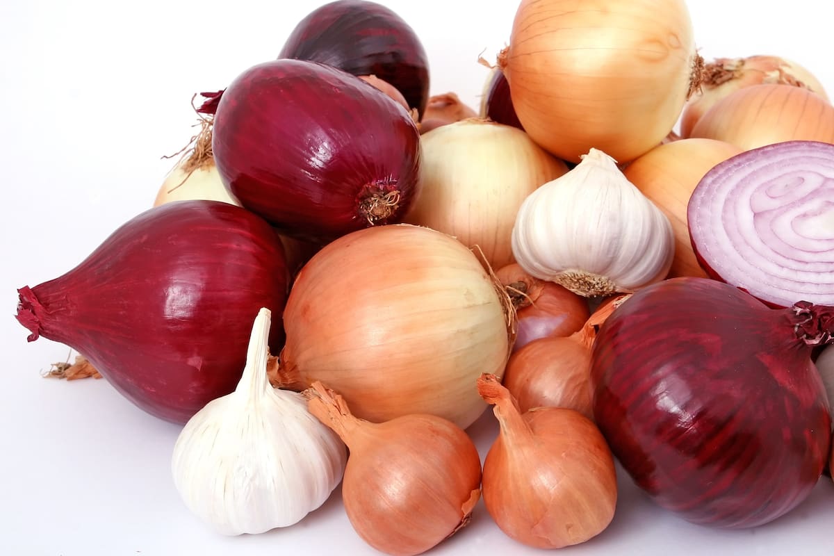 Las cebollas son clave en la cocina