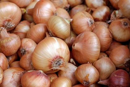 Las cebollas son ricas en azufre