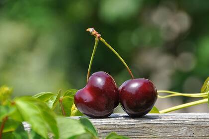 Las cerezas aportan vitaminas y magnesio