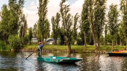 Las chinampas albergan casi el 2% de la biodiversidad del mundo