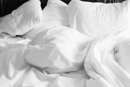 Las chinches suelen vivir en colchones y almohadas