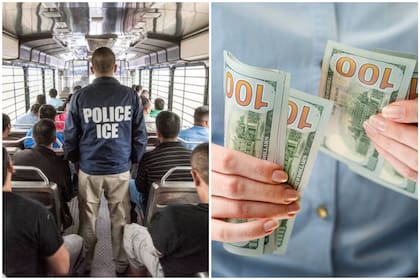 Las cifras de 2025 muestran un nivel de ingresos sin precedentes para las compañías que colaboran con el ICE