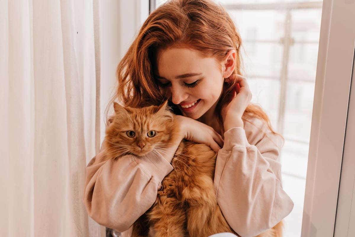 Las cinco señales de que un gato eligió a su persona favorita