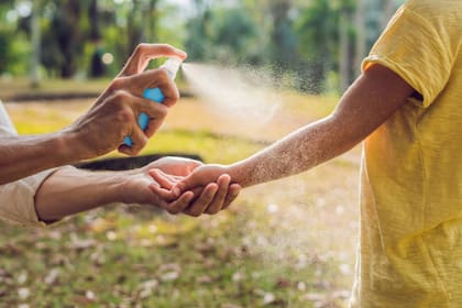 Las ciruelas sirven para repeler mosquitos (Foto: iStock)
