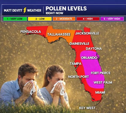 Las ciudades que registran los niveles más altos de polen en Florida