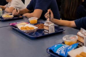 Regreso a clases: cambian los requisitos para acceder a almuerzos escolares gratuitos