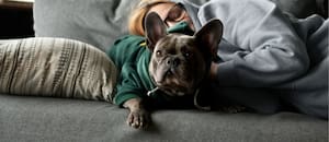 Cómo cuidar a las mascotas ante las bajas temperaturas