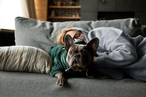 Cómo cuidar a las mascotas ante las bajas temperaturas