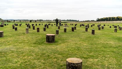 Las columnas de hormigón marcan el lugar que ocupaban los postes de madera que conformaban Woodhenge, otra construcción megalítica de propósito desconocido (Andrew Testa/NYT)