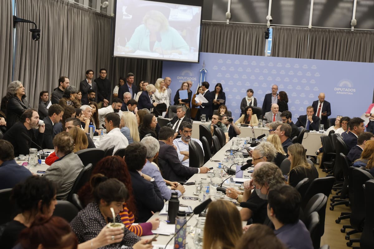 Las comisiones de Diputados que debatieron la baja de la edad de imputabilidad de los menores