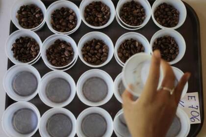 Las competencias permiten a los pequeños agricultores ofrecer granos valiosos, difíciles de producir