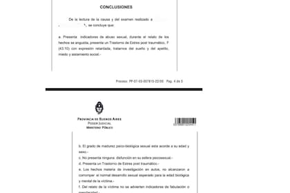 Las conclusiones del peritaje psiquiátrico al que fue sometida la víctima
