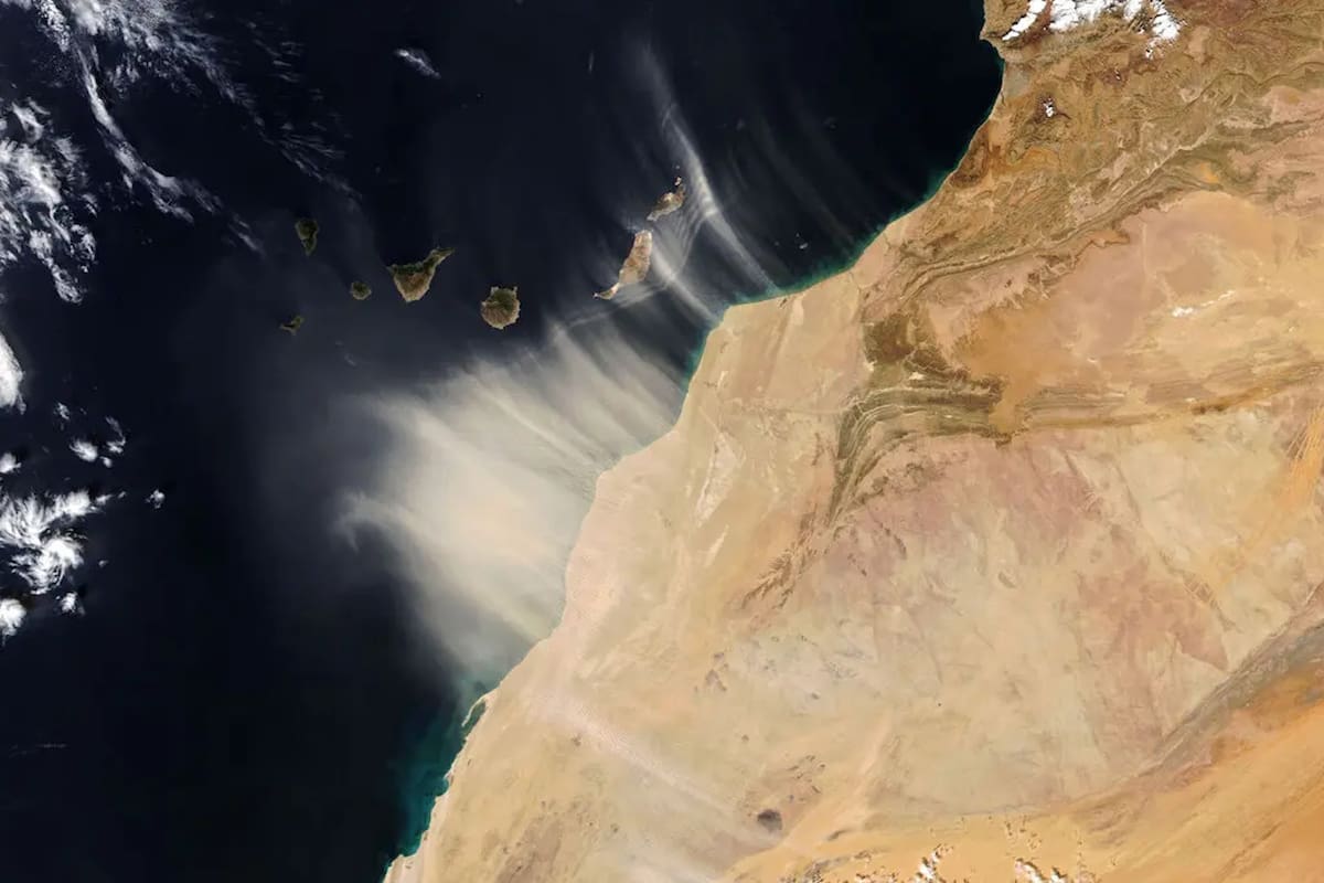 Las condiciones de altas temperaturas y la dirección de los vientos favorecen el traslado de nubes de polvo del norte de África a otras regiones del planeta