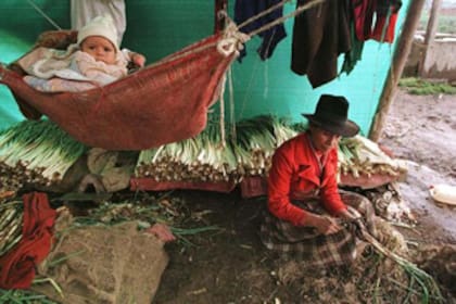 Las condiciones de extrema pobreza en la mitad norte de América latina se contraponen a la pujanza y crecimiento productivo del resto de la región