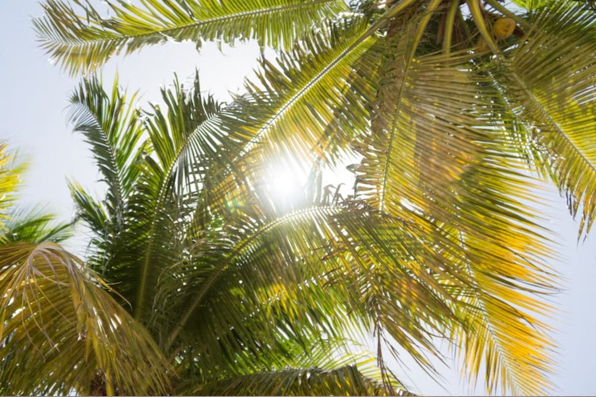 Las condiciones secas propiciarán un incremento en las temperaturas que podrían alcanzar los récords históricos