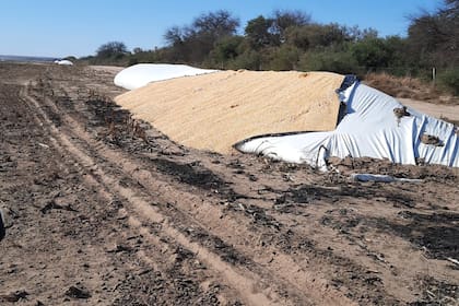 Las consecuencias del incendio en un campo en Fraga, en el departamento Coronel Pringles, provincia de San Luis