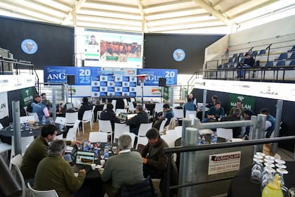 Las consignatarias que participarán: Sáenz Valiente Bullrich, Gananor Pujol, Madelan, Alfredo S. Mondino, Colombo y Magliano, Monasterio Tattersall, Pedro Noel Irey y Jáuregui Lorda